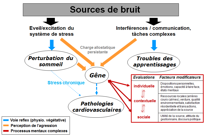 Risques sonores et auditifs sur le lieu de travail